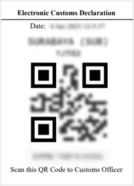 Electronic Customs Declaration QR Code